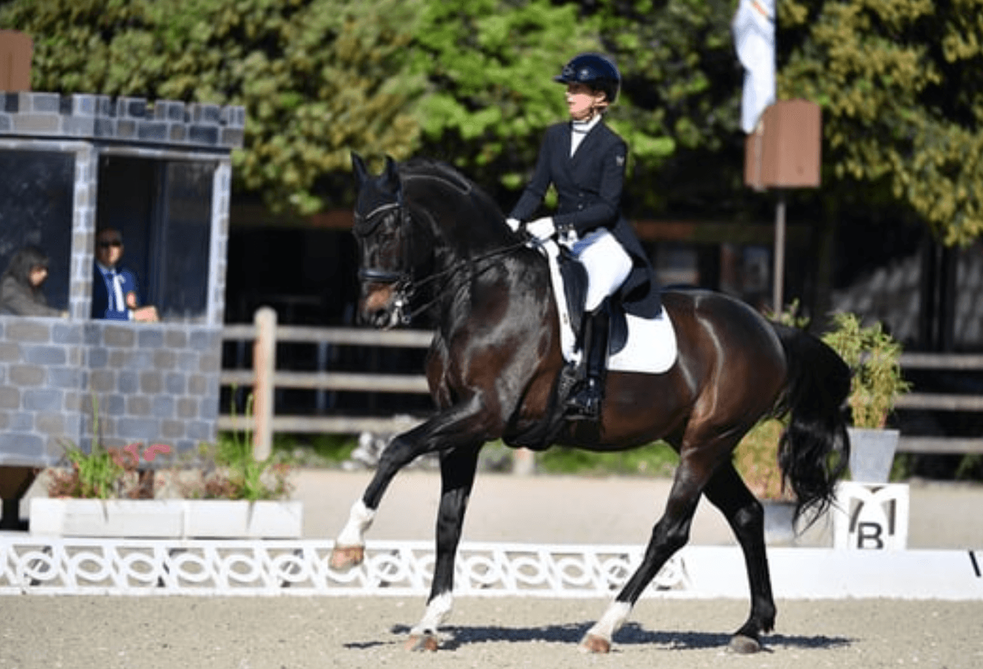 Concours équestre Rennes – Haras du Casse