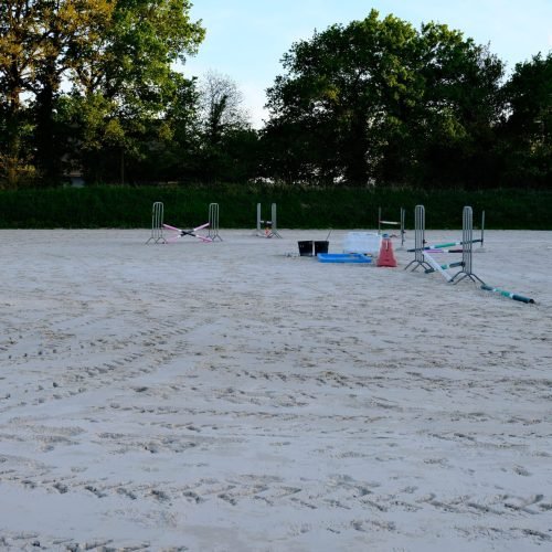 carriere-saut-obstacles-haras-du-casse